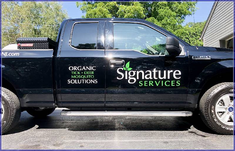Vehicle Lettering San Diego Clairemont California