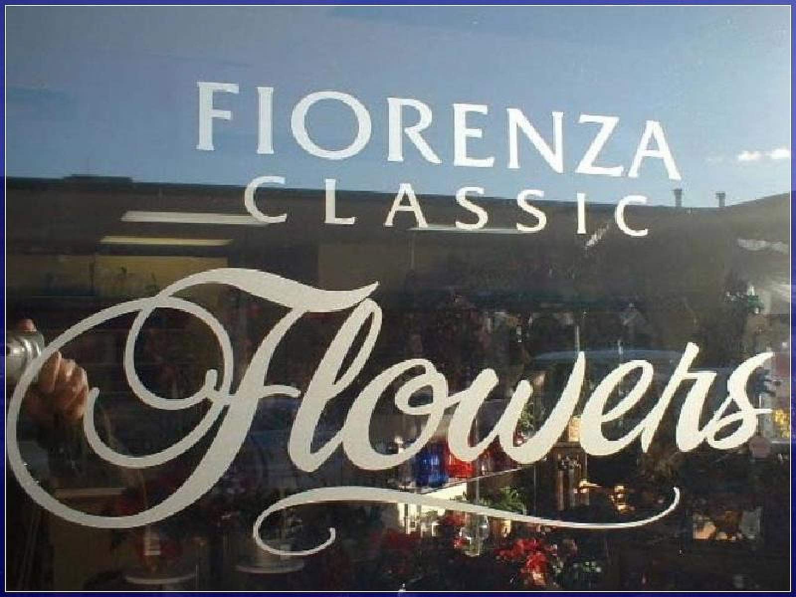 Window Lettering San Diego Del Mar Mesa California